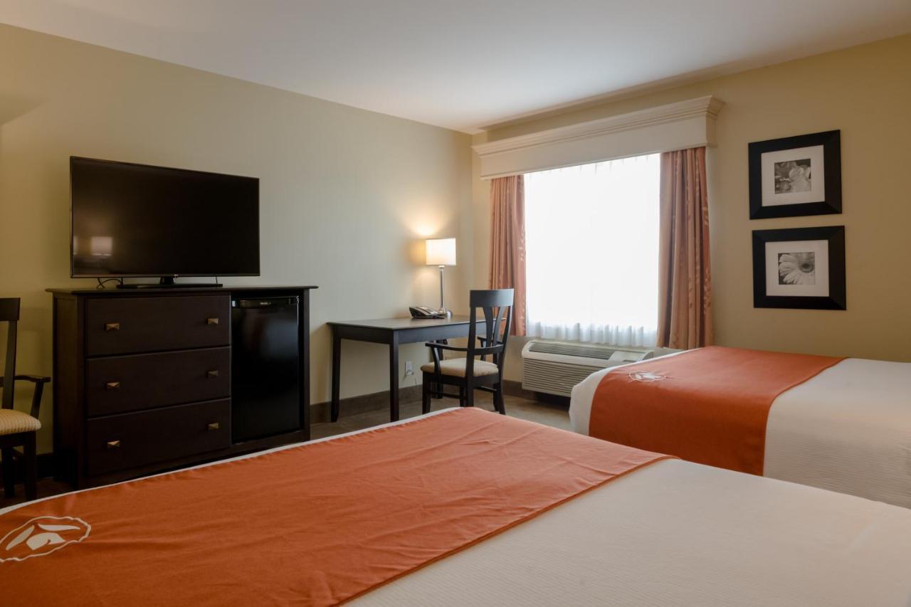 Amsterdam Inn & Suites Sussex Luaran gambar