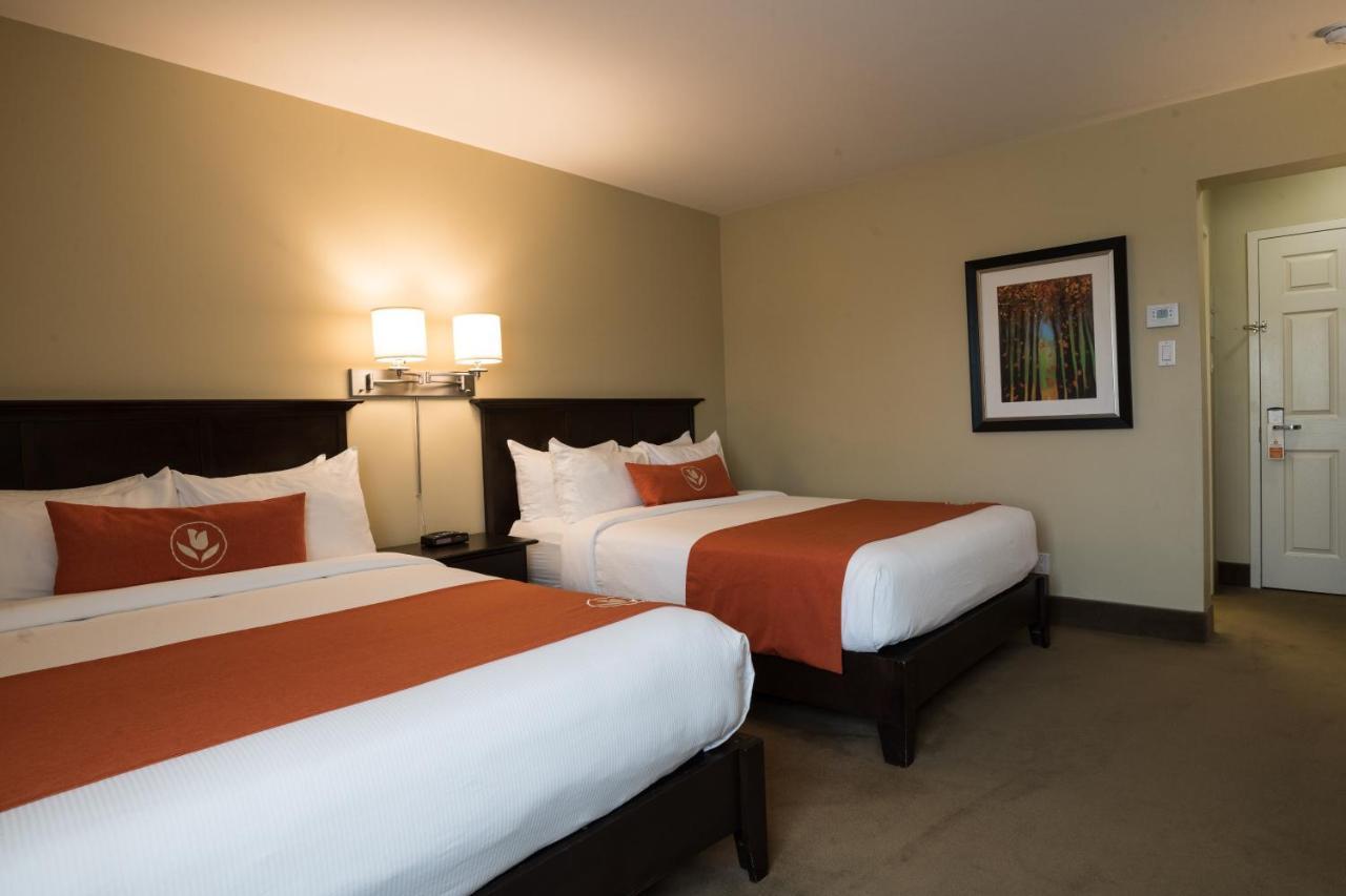 Amsterdam Inn & Suites Sussex Luaran gambar