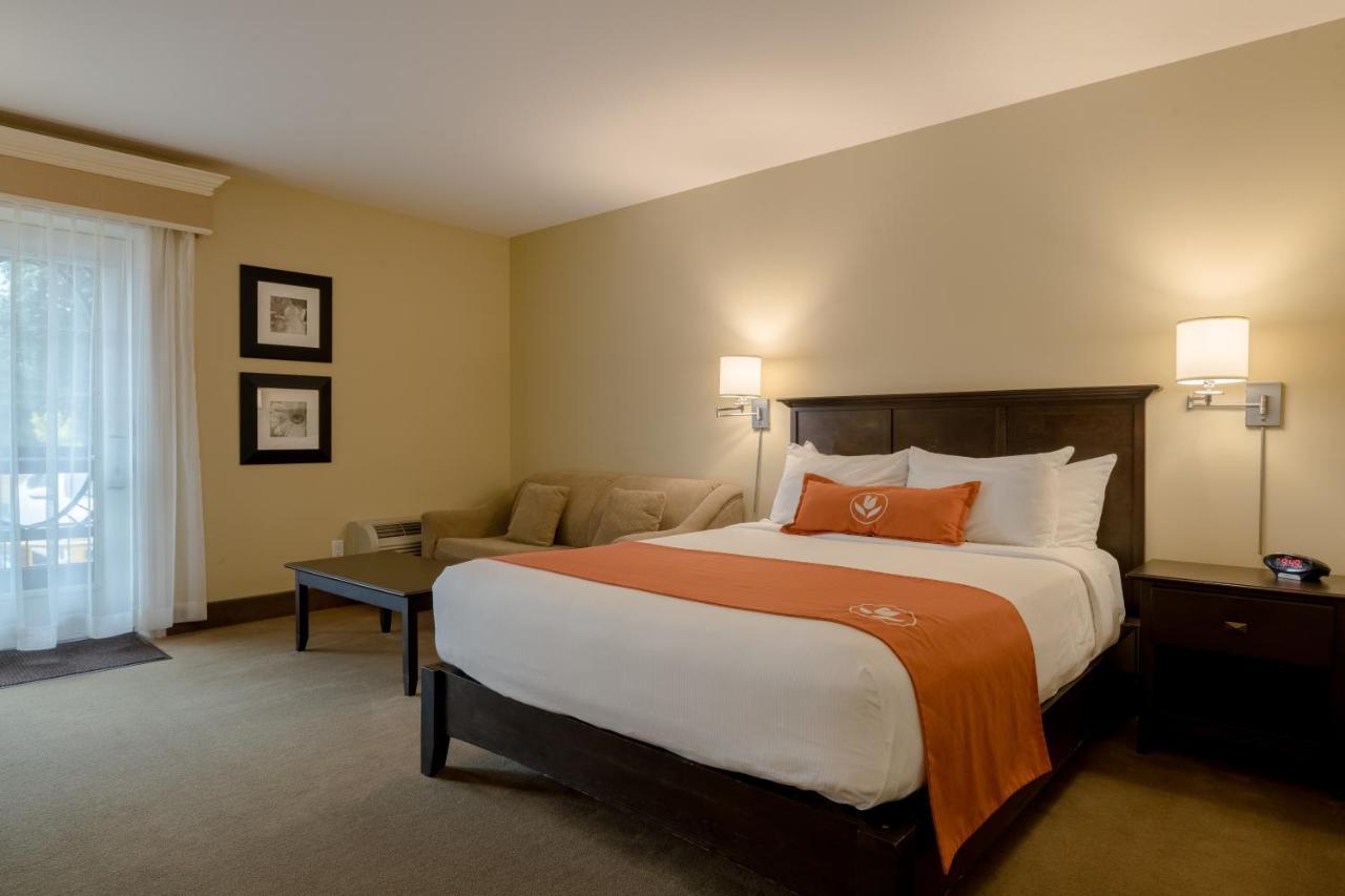 Amsterdam Inn & Suites Sussex Luaran gambar