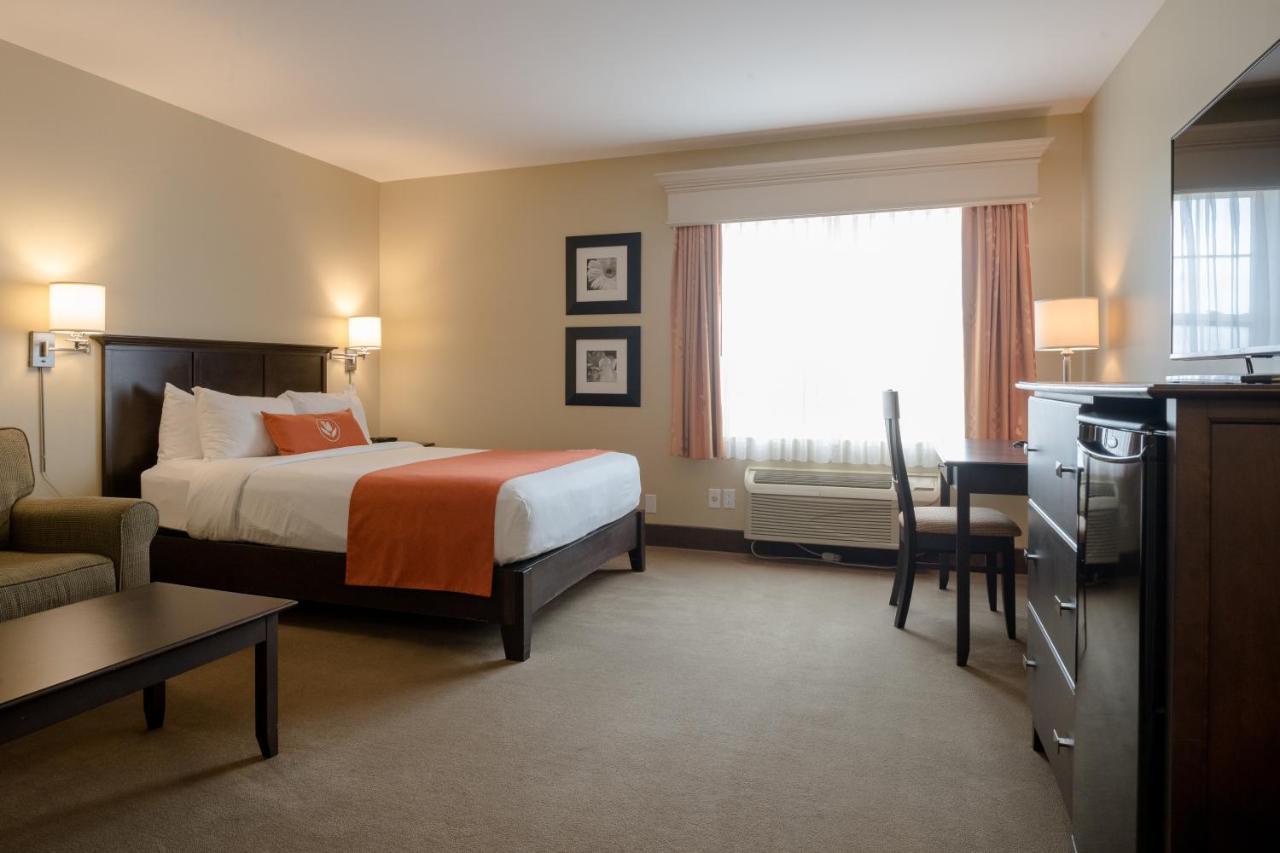 Amsterdam Inn & Suites Sussex Luaran gambar