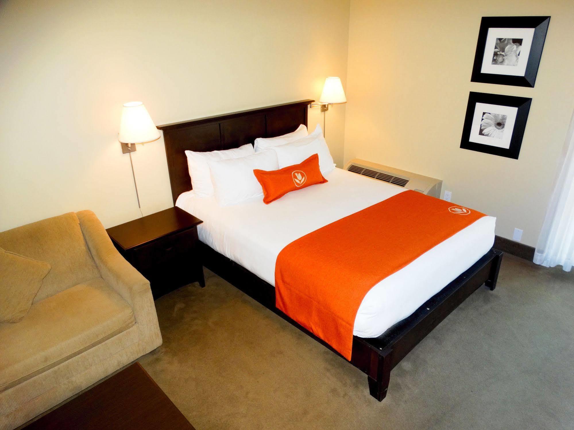 Amsterdam Inn & Suites Sussex Luaran gambar