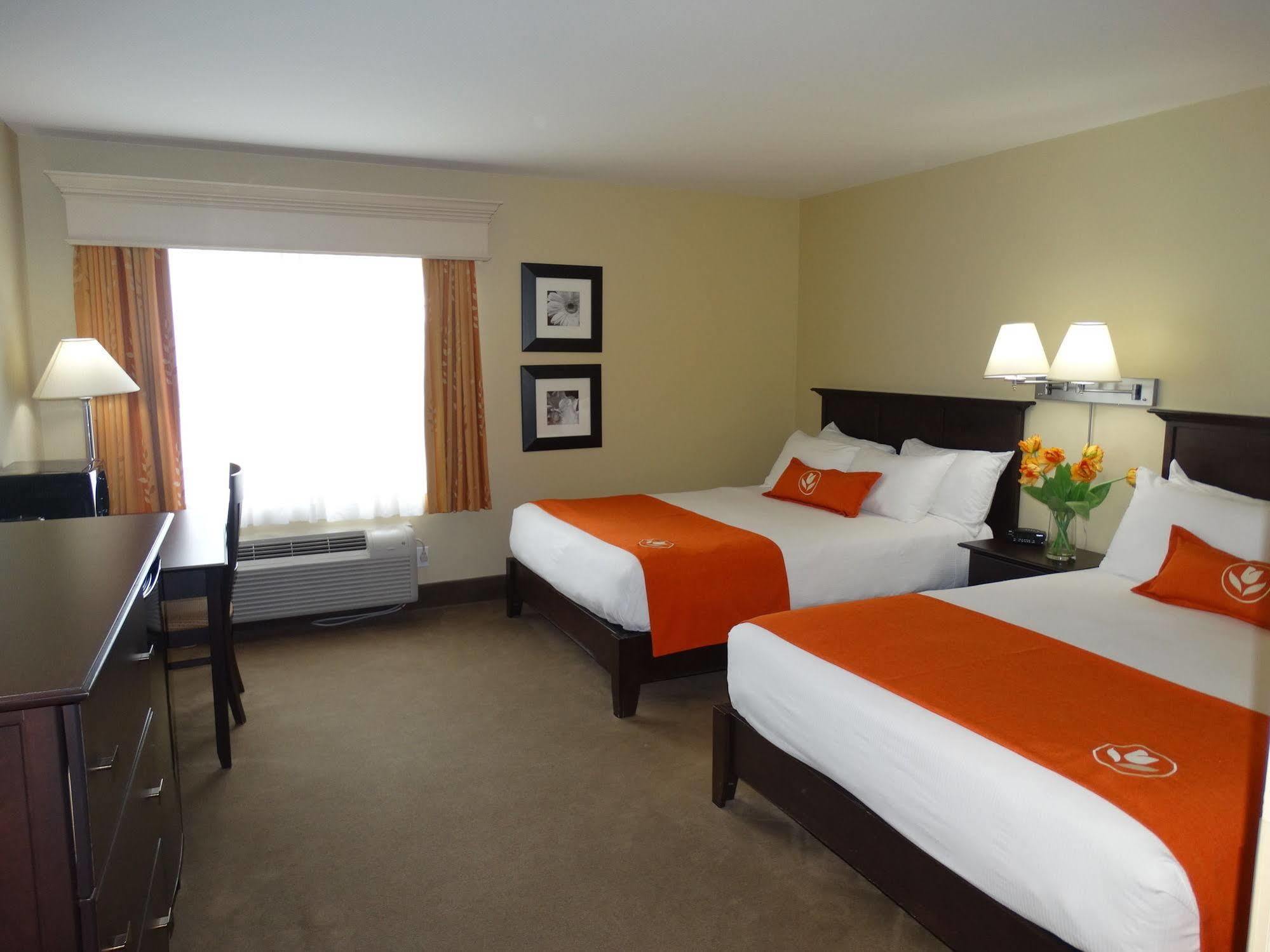 Amsterdam Inn & Suites Sussex Luaran gambar